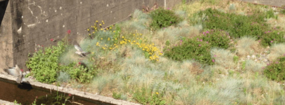 Schermata 2017-10-07 alle 13.37.20.png